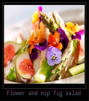Flower and Nip Fig Salad