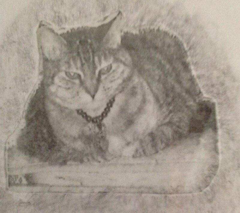 Pepper drawn by Lucille Wilson